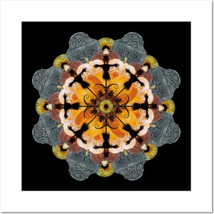 jack o lantern mandala Posters and Art